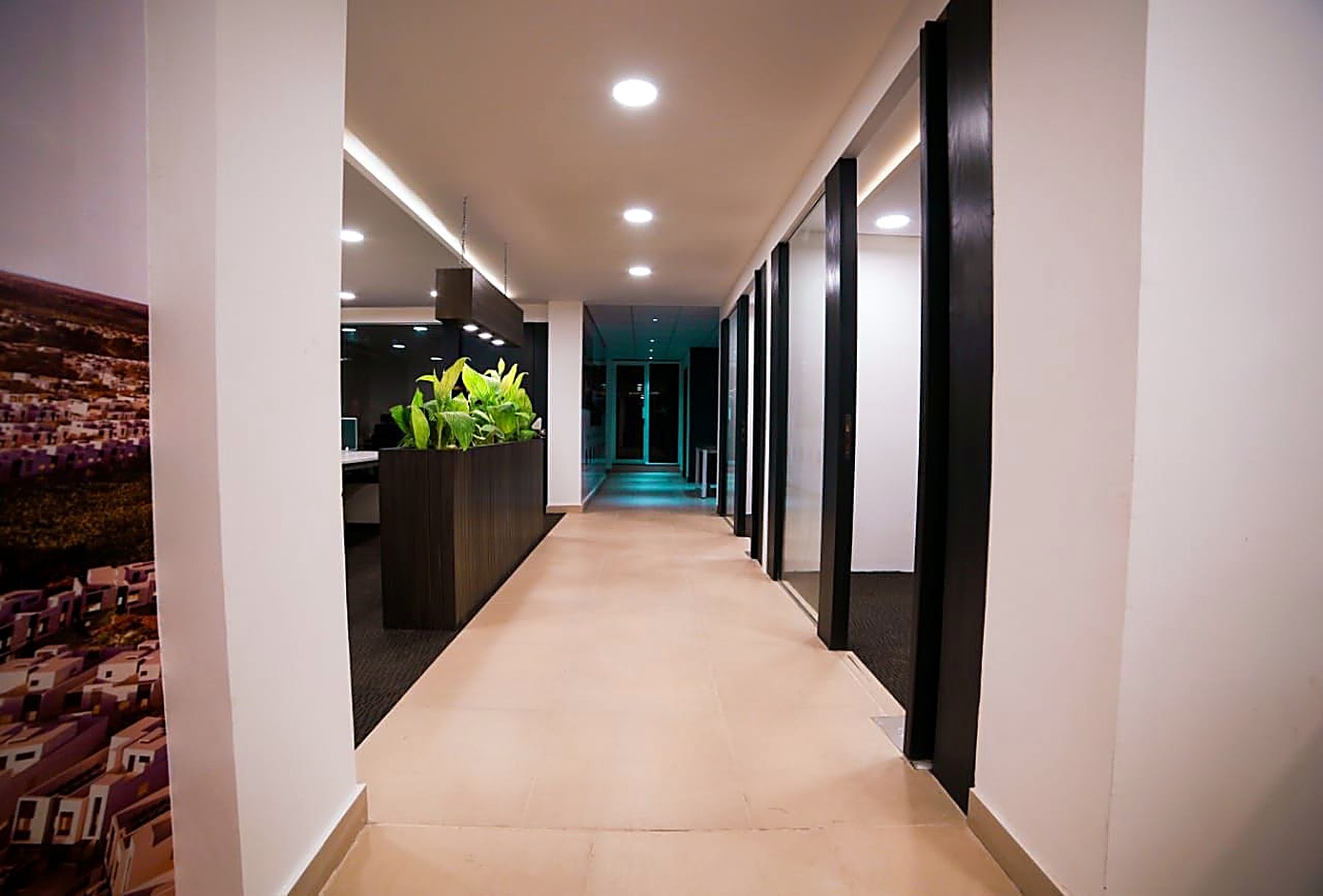 Corridor with glass-partitioned offices