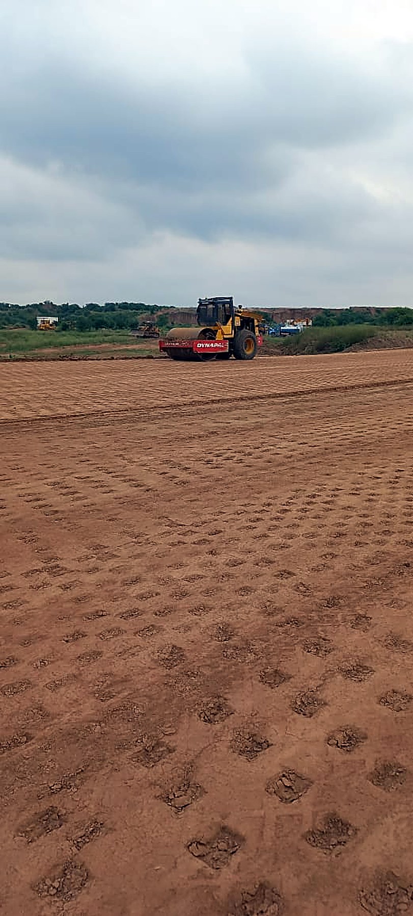 Sheepsfoot roller compacting soil